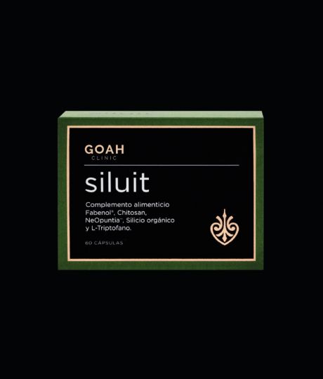 Goah Siluit