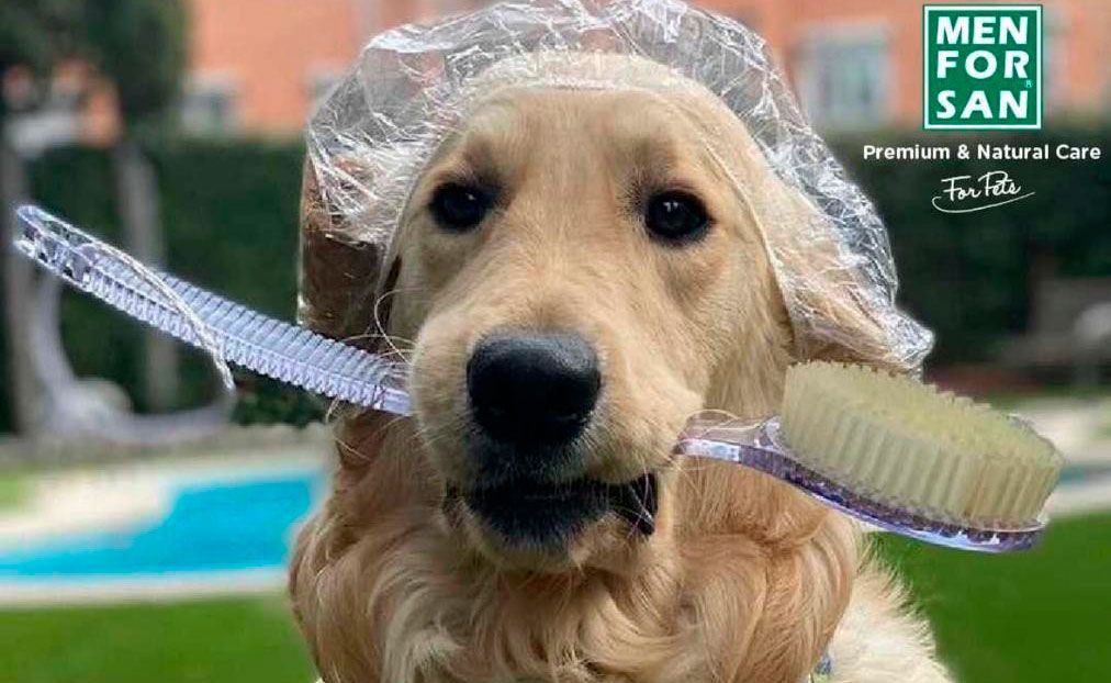 Servicios farmacéuticos mascotas